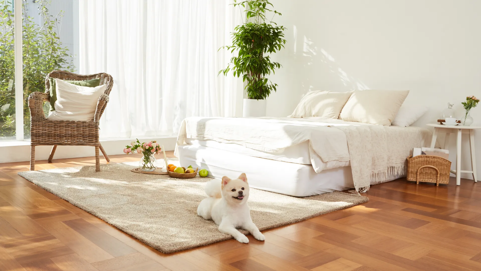 미끄럼 방지 매트가 깔린 강아지 친화적인 거실 인테리어
