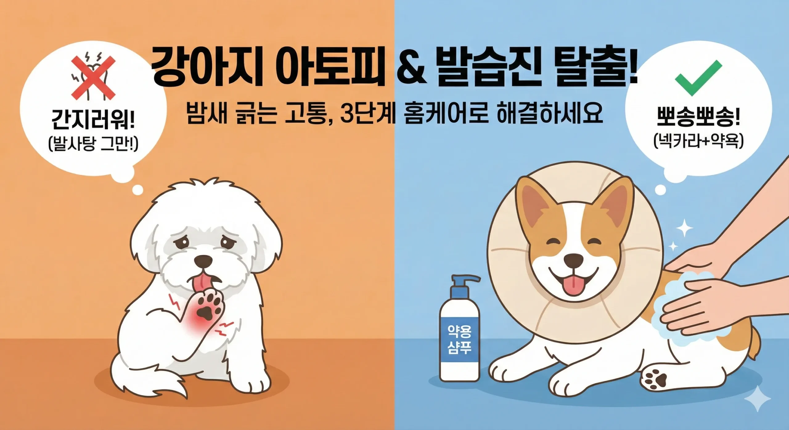 강아지 아토피 썸네일