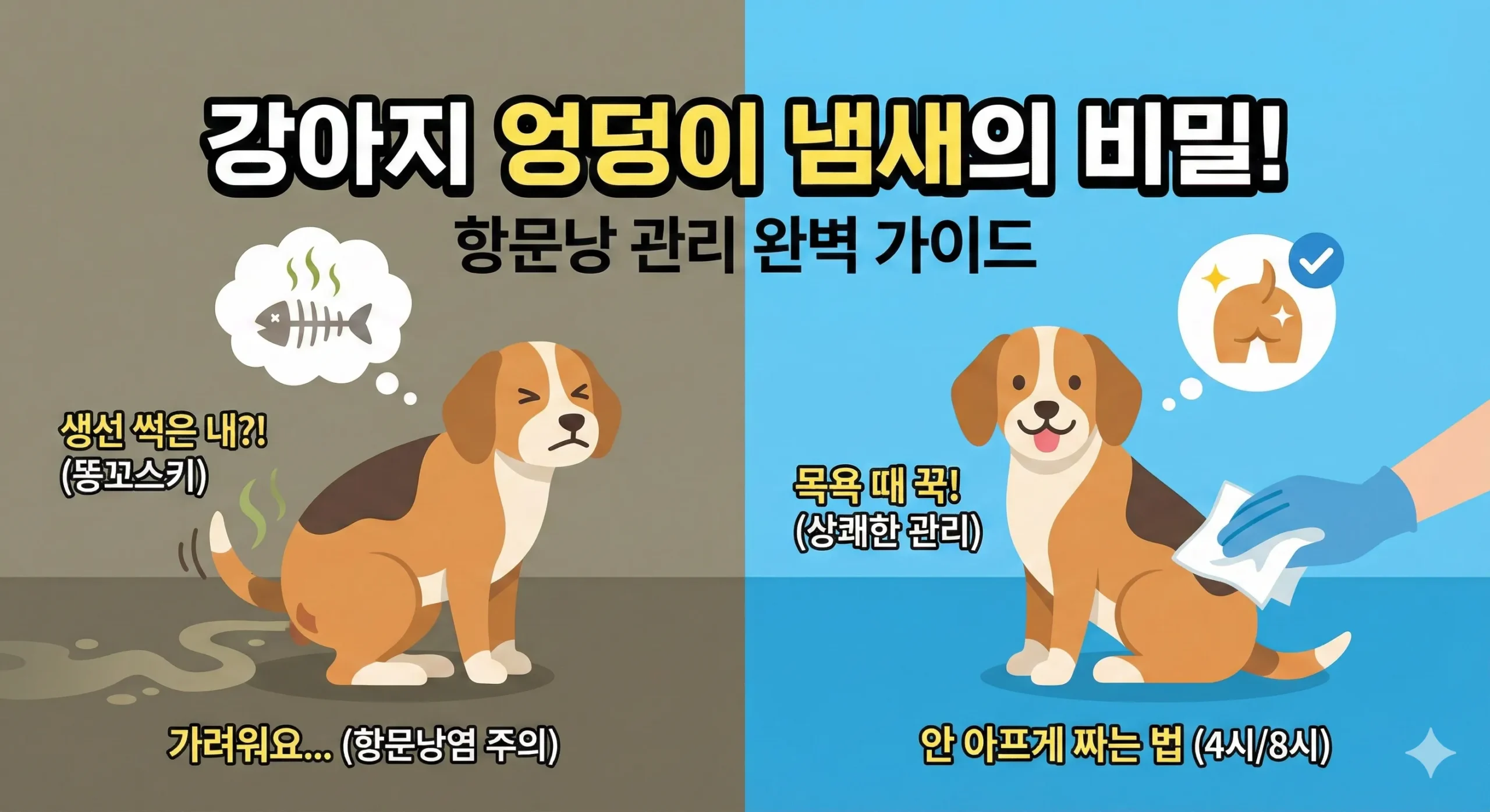 강아지 항문낭 썸네일