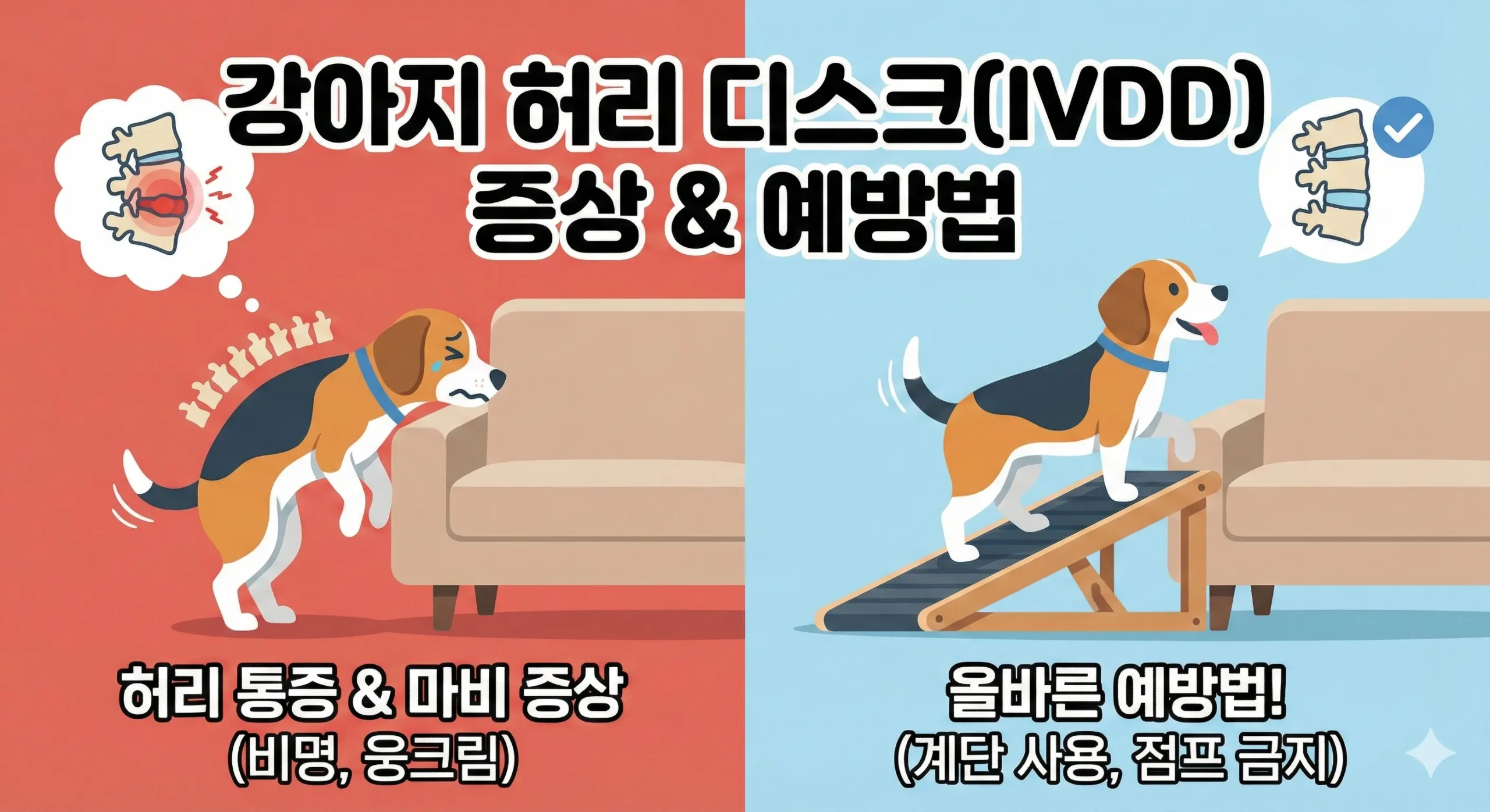 강아지 허리 디스크 썸네일