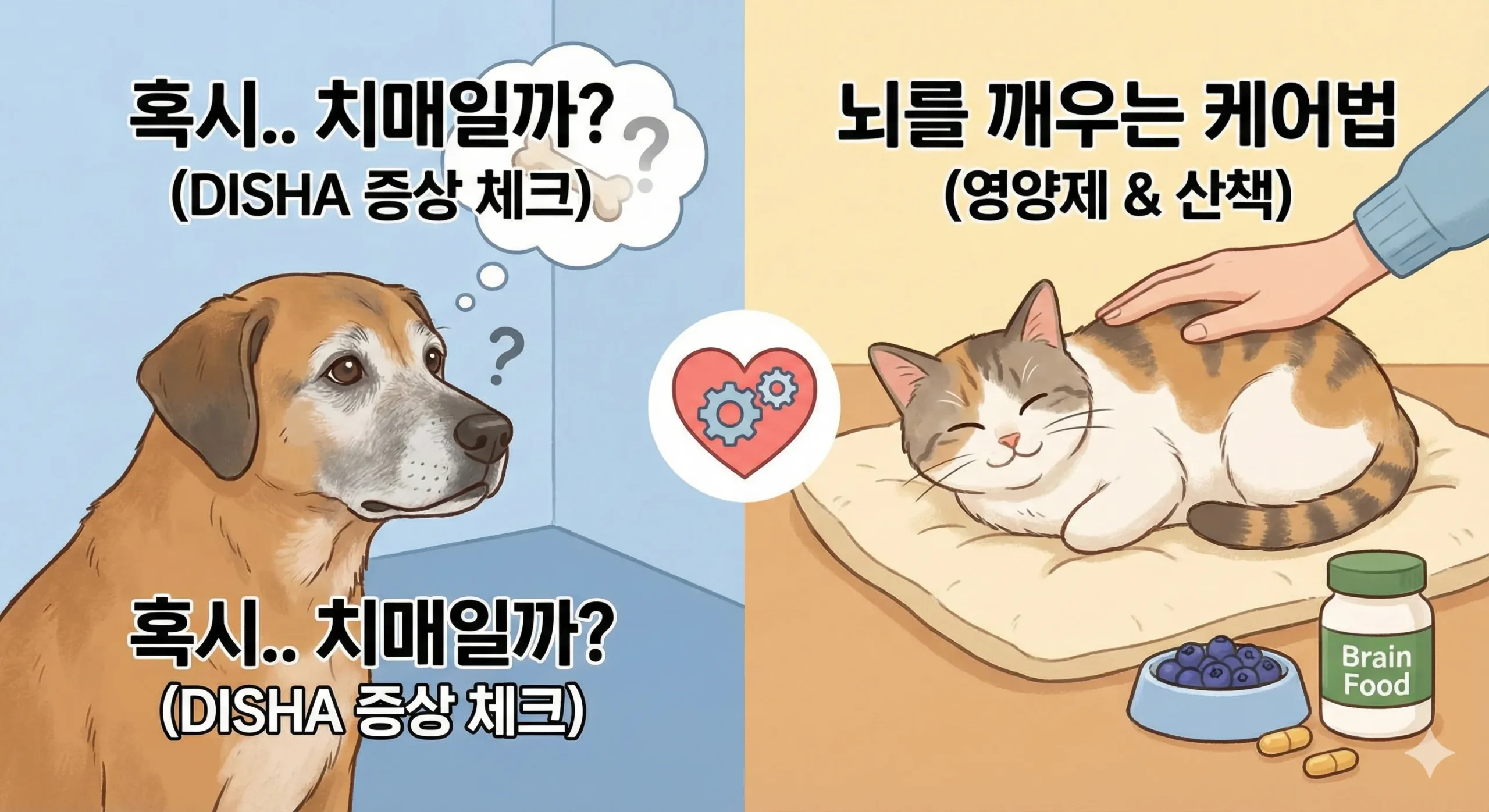 인지기능장애 썸네일