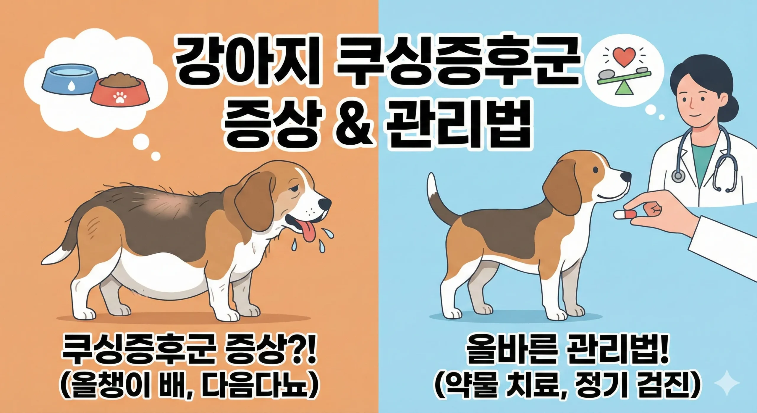 쿠싱증후군 썸네일